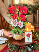 Load image into Gallery viewer, FreshCut Paper LLC - Scarlet Amaryllis