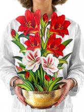 Load image into Gallery viewer, FreshCut Paper LLC - Scarlet Amaryllis