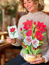 Load image into Gallery viewer, FreshCut Paper LLC - Scarlet Amaryllis