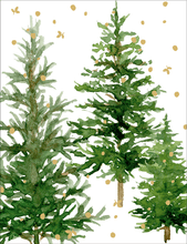 Load image into Gallery viewer, Caspari White Christmas Size C BC