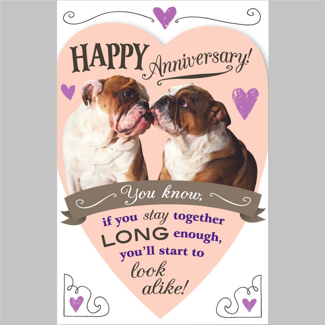 Bulldogs Kissing Anniversary Greeting Card