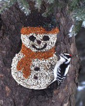 Load image into Gallery viewer, Frosty Snowman Bird Seed
