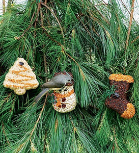 Christmas Shape Bird Seed Singles