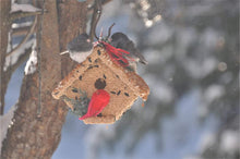 Load image into Gallery viewer, Wren Casita Christmas Bird House

