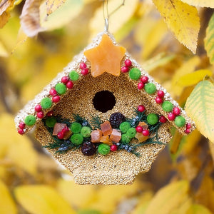 Fruit Casita Bird House