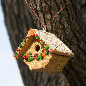 Fruit Casita Bird House