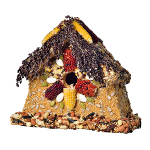 Rustic Sparrow House