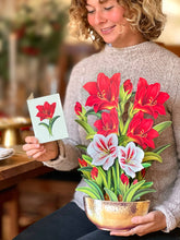 Load image into Gallery viewer, FreshCut Paper LLC - Scarlet Amaryllis
