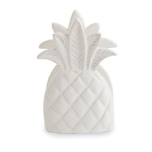 Pineapple Sponge Holder