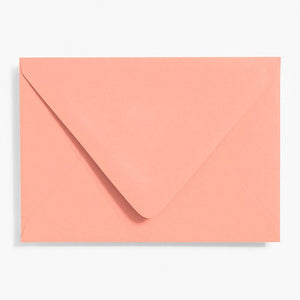 Waste Not Paper 4 Bar Envelopes