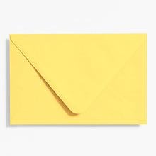 Load image into Gallery viewer, Waste Not Paper A9 Envelope
