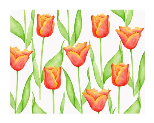 Parrot Tulip Folded Note Cards